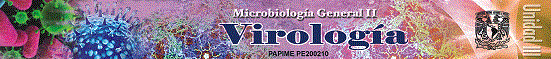 MGII_VIROLOGIA Virología