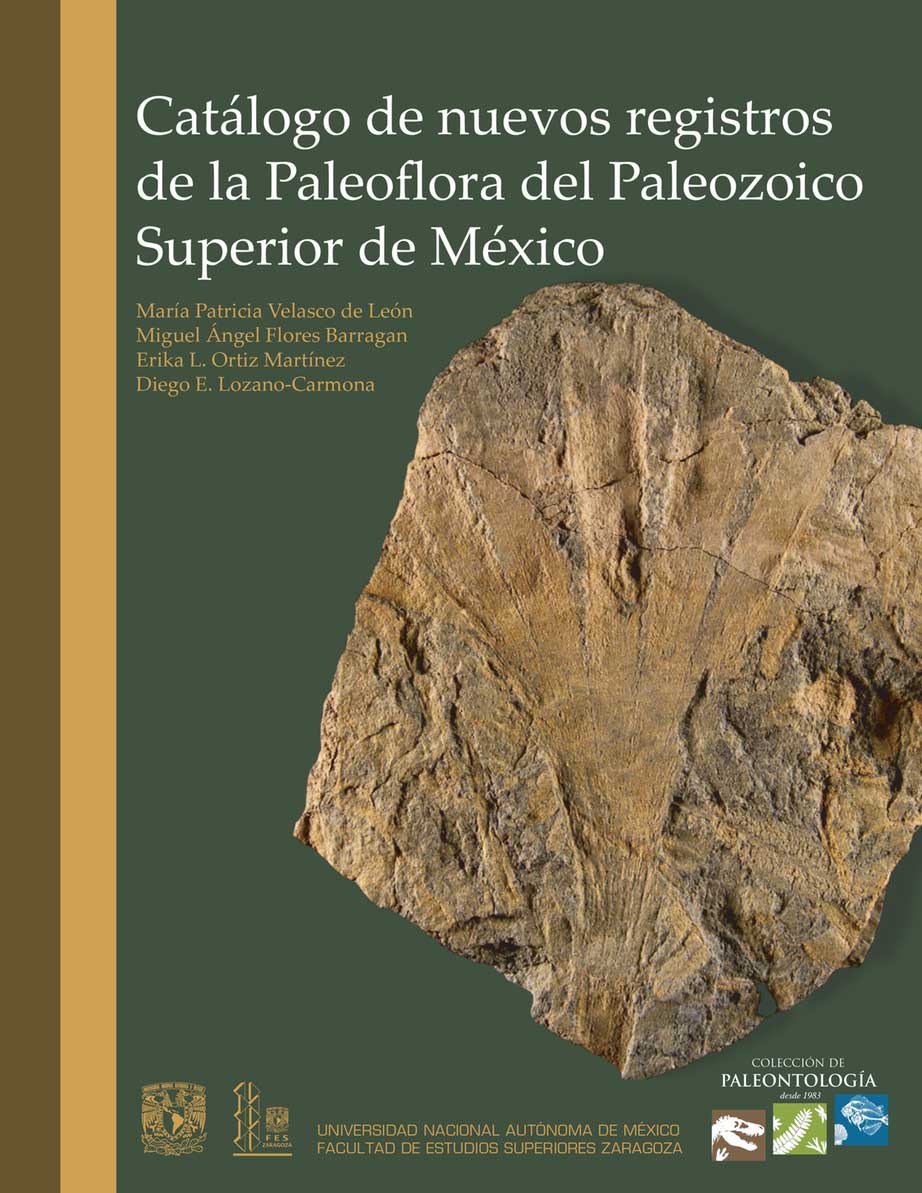 paleoflora